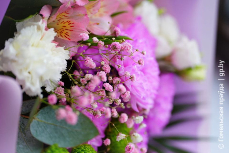 Стали известны победители и призеры смотра-конкурса на лучшее ландшафтное оформление территории населенного пункта в 2025 году