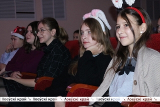 Отличники учебы, одаренные учащиеся и юные спортсмены принимали новогодние поздравления