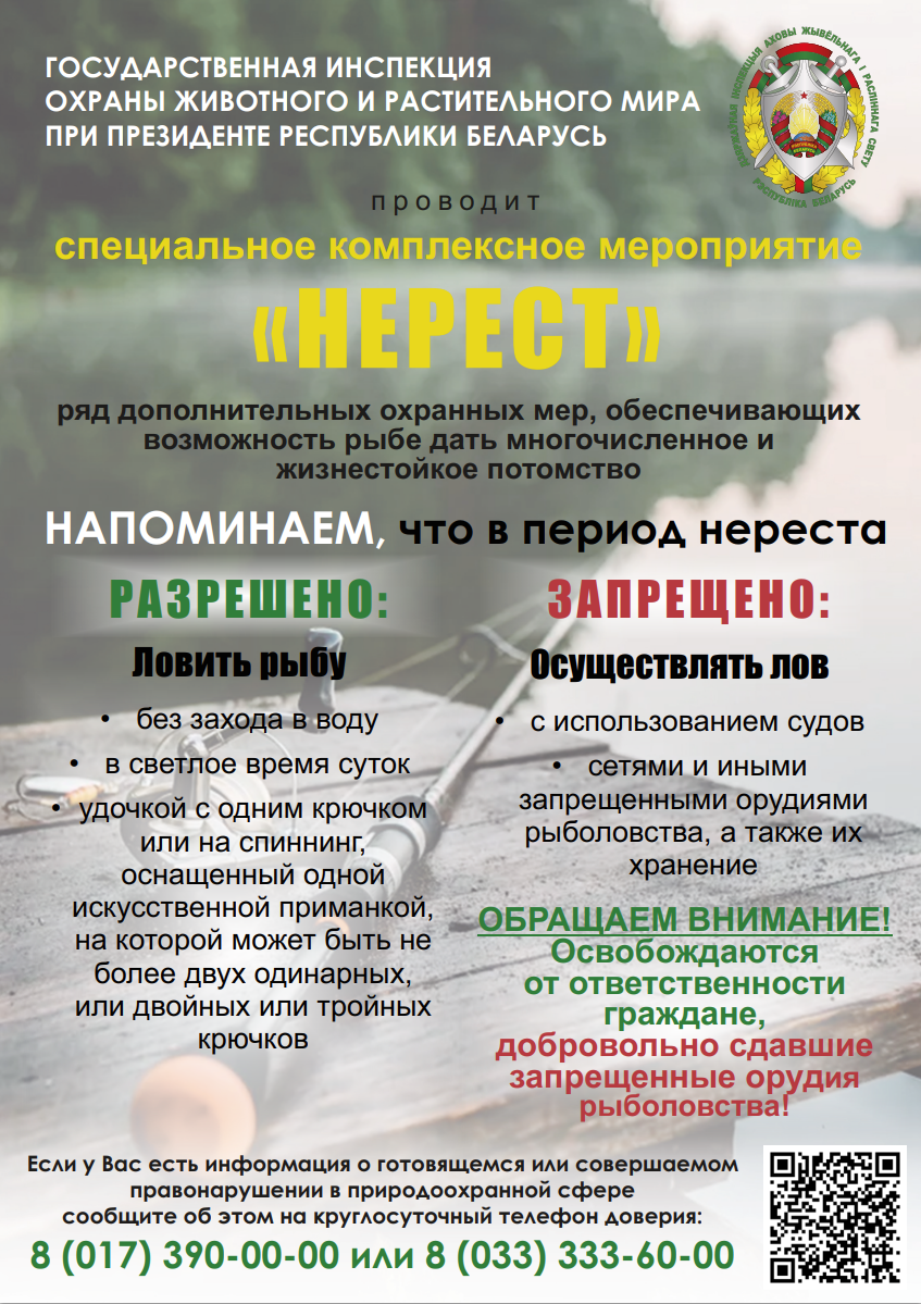 Специальное комплексное мероприятие "Нерест"