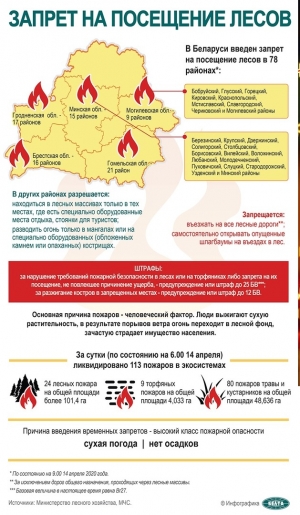 Запрет на посещение лесов