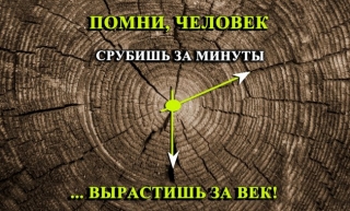 Приглашаем принять участие в молодежной акции 